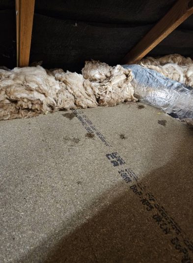 Dripping-roof-in-loft