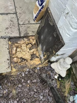 find-out-where-damp-is-coming-from